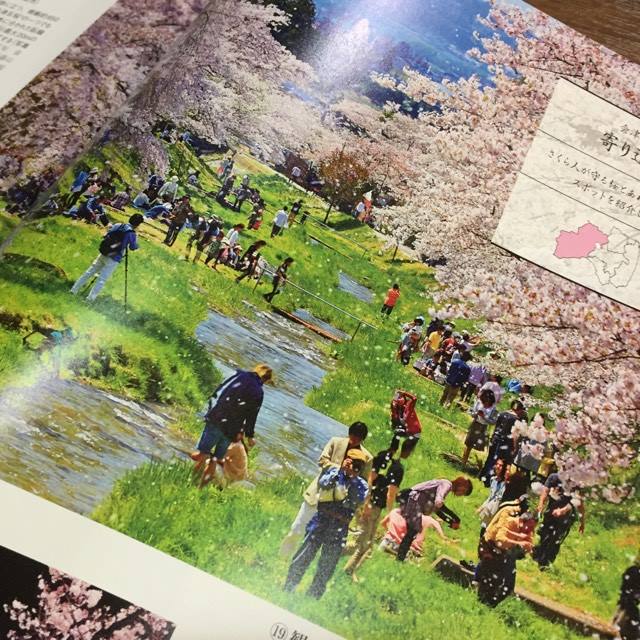 17792577_1272444362833831_596202300_n_1.jpg 17792577_1272444362833831_596202300_n_1.jpg